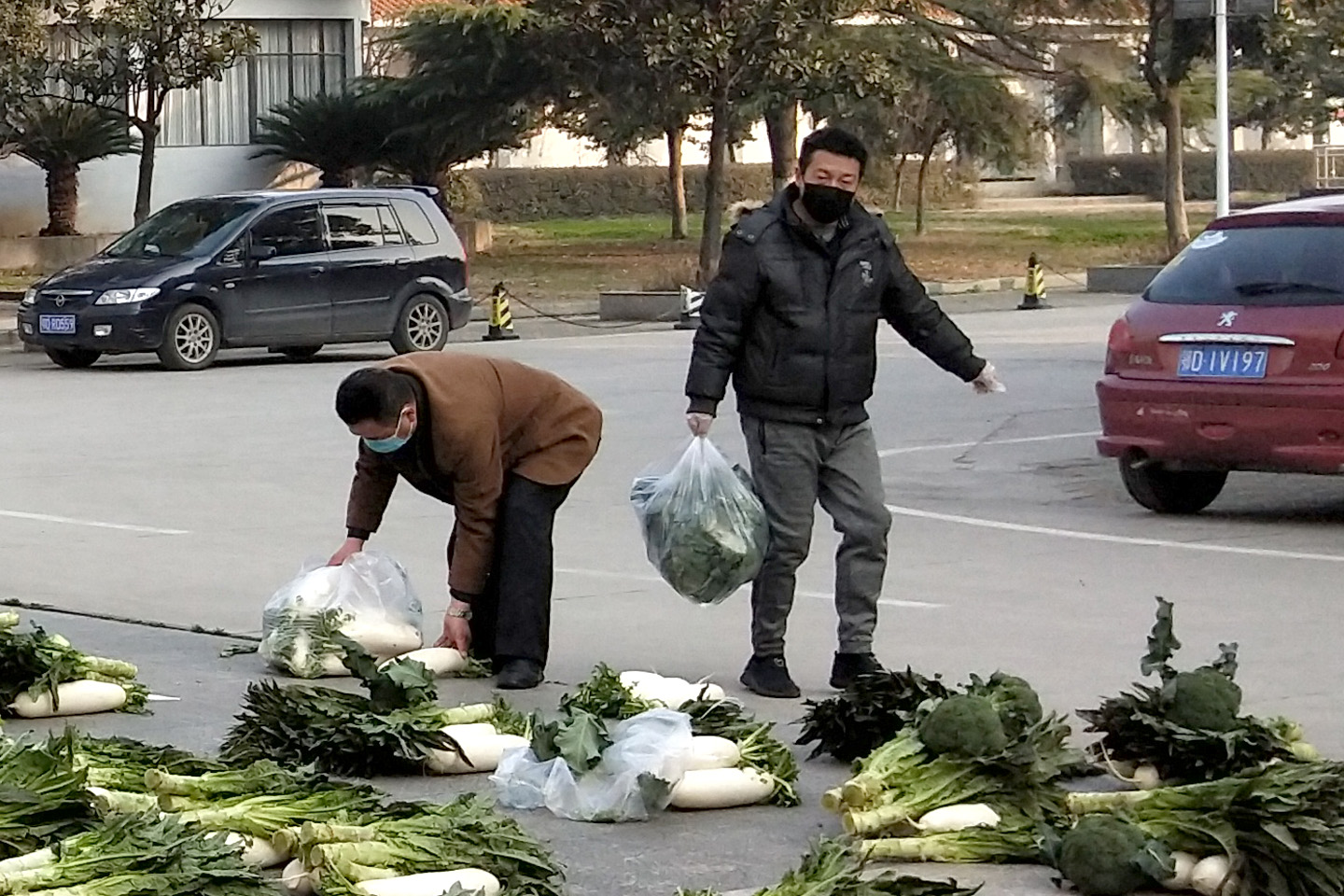瀹堟姢鏍″洯鐤儏闃叉帶,鎶楃柅鍖绘姢浜哄憳瀹堟姢鏍″洯