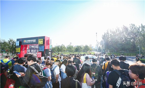 sts潮流玩具展,上海pts国际潮流玩具展直播