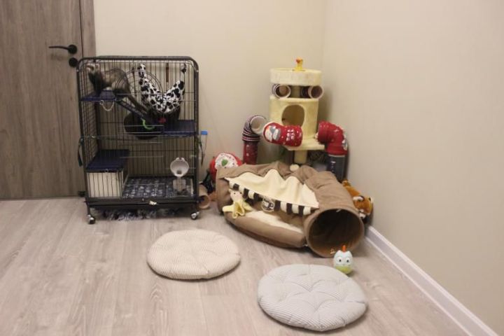 房子装修避坑攻略,装修了百套房总结了100个避坑经验