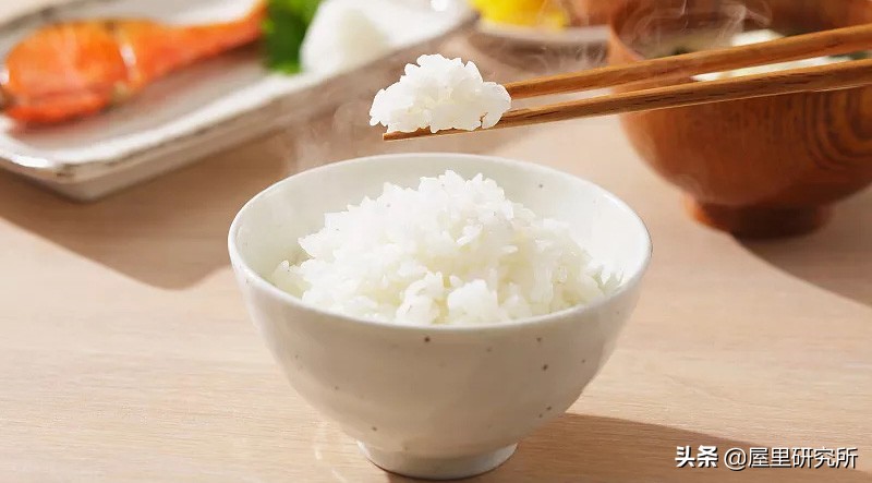 什么品牌电饭煲做饭好吃,做饭口感最好的电饭煲