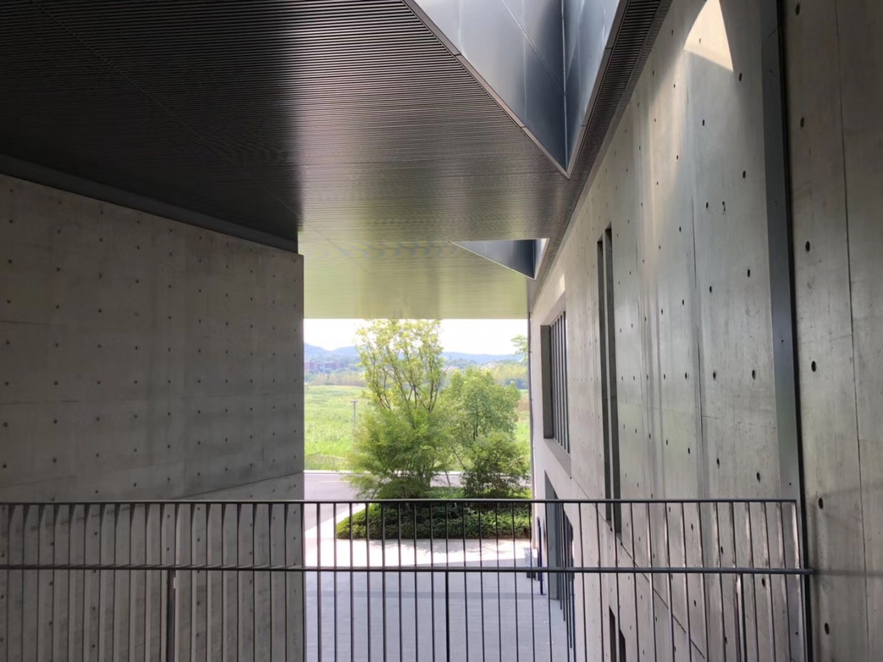 这是高晓松送给杭州的礼物，实名羡慕杭州市民!