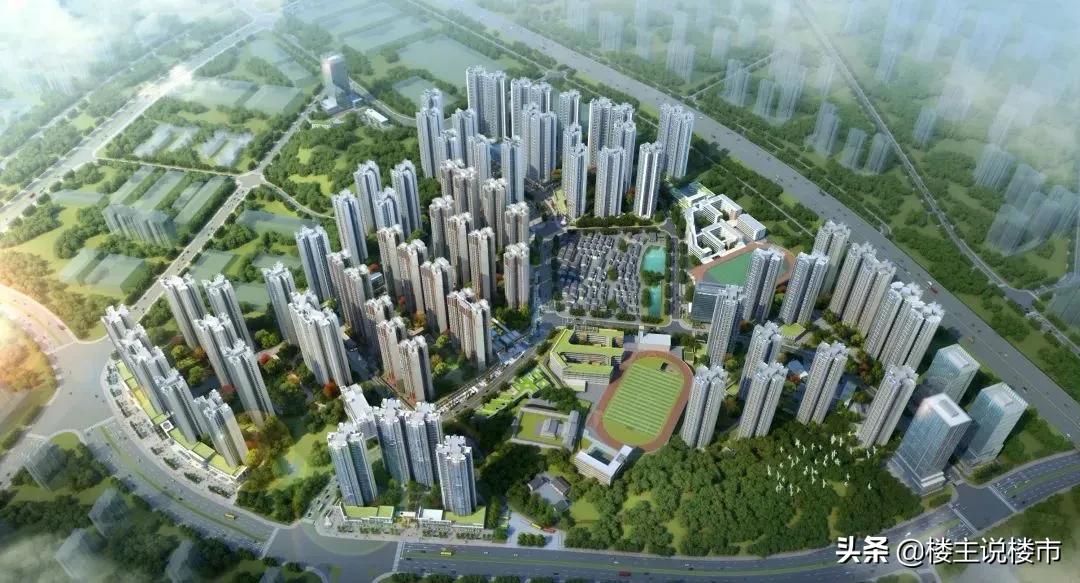 黄埔中央城楼盘讲解视频,黄埔中央城下跌多少