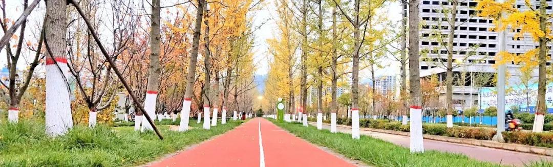 商洛一座美丽的城市,商洛最美的小城市