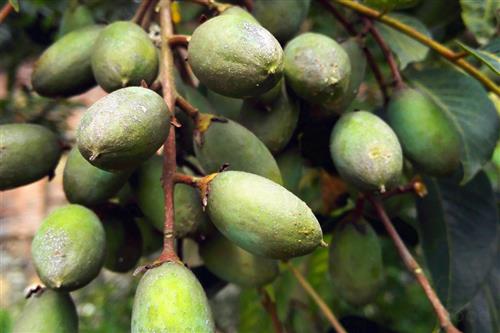 冉莹颖穿10小时高跟鞋，脱鞋后“触目惊心”，女人为了美真是拼了