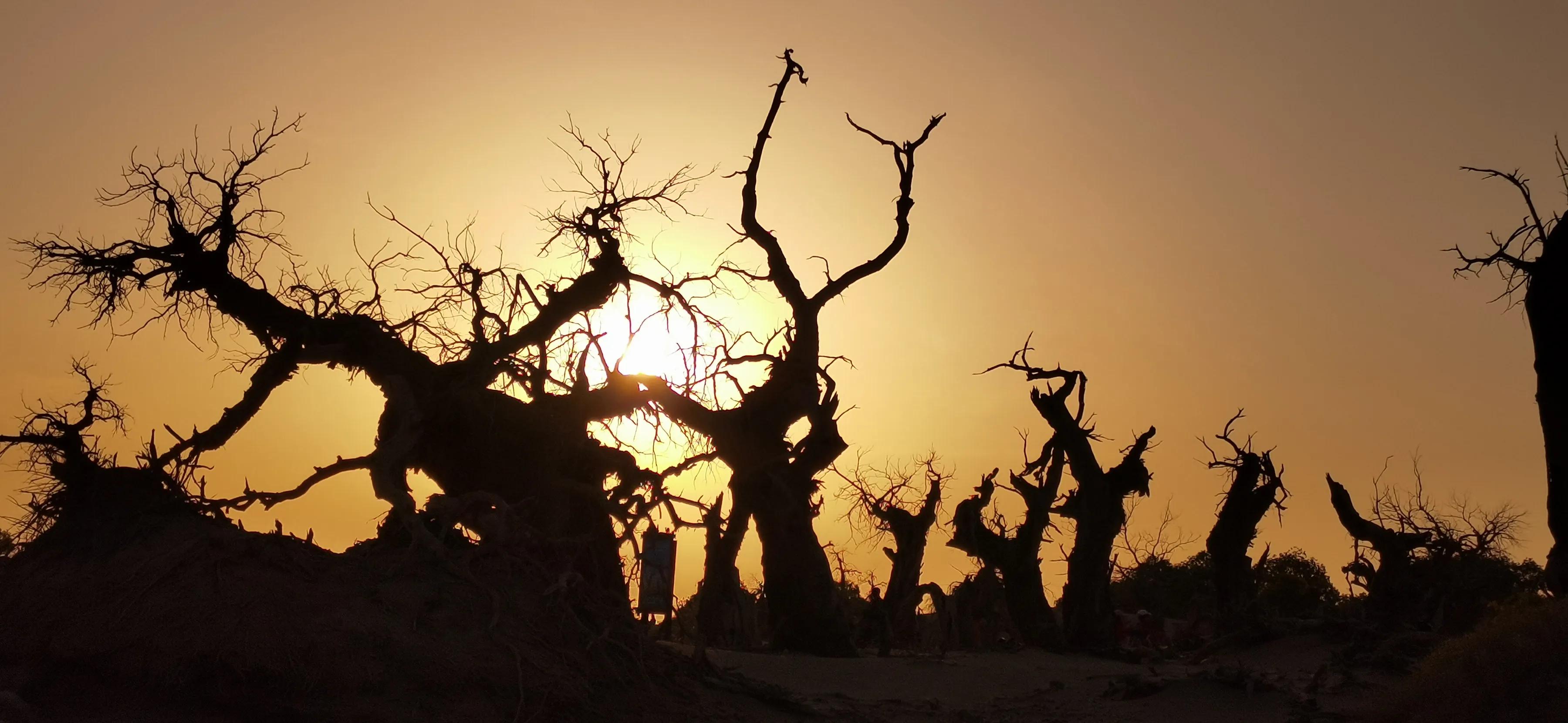 手机摄影手册圈友作品选第7期,手机摄影手册圈友作品选第6期