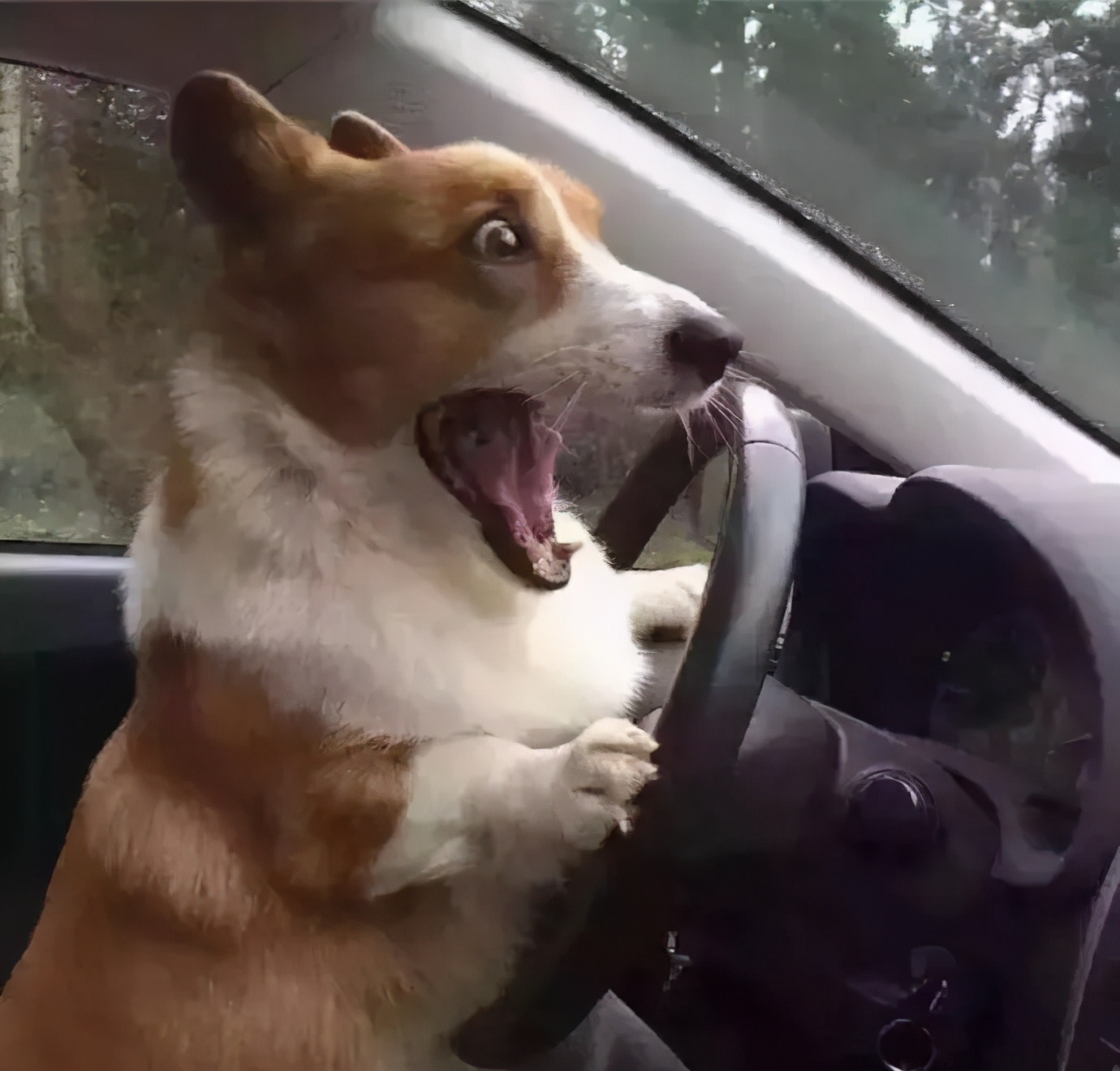 个人ip打造和新媒体运营的区别,自媒体新号运营方案