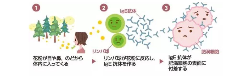 新型肺炎日本现状,日本新型肺炎现状