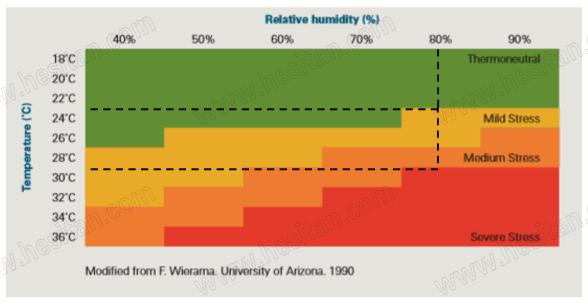Jantijn博士谈牧场如何管控好夏季环境性乳房炎