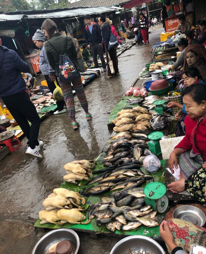 一起来看看我的旅途中看到的缅甸