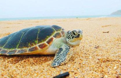 惠州斯维登宾馆,惠州斯维登公寓酒店