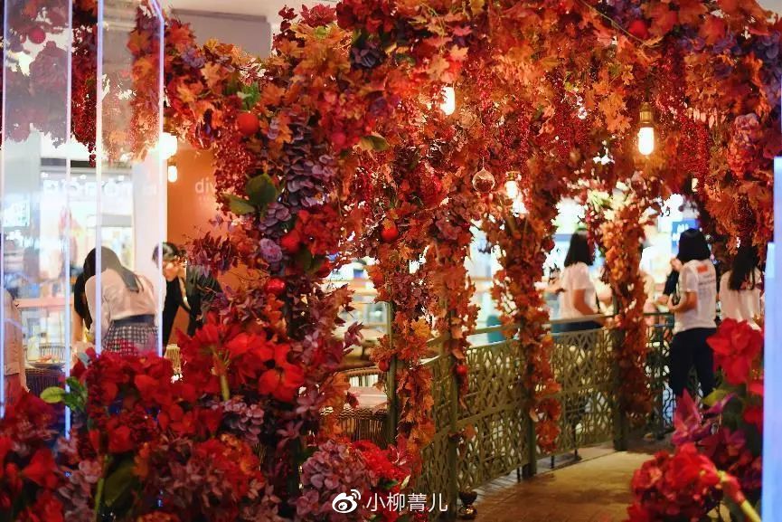 说走就走曼谷这样逛吃玩