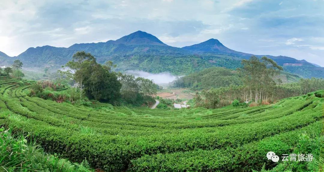 山海闽西南|乐吃、乐游、乐开怀！带上这份攻略，玩转云霄白石村~