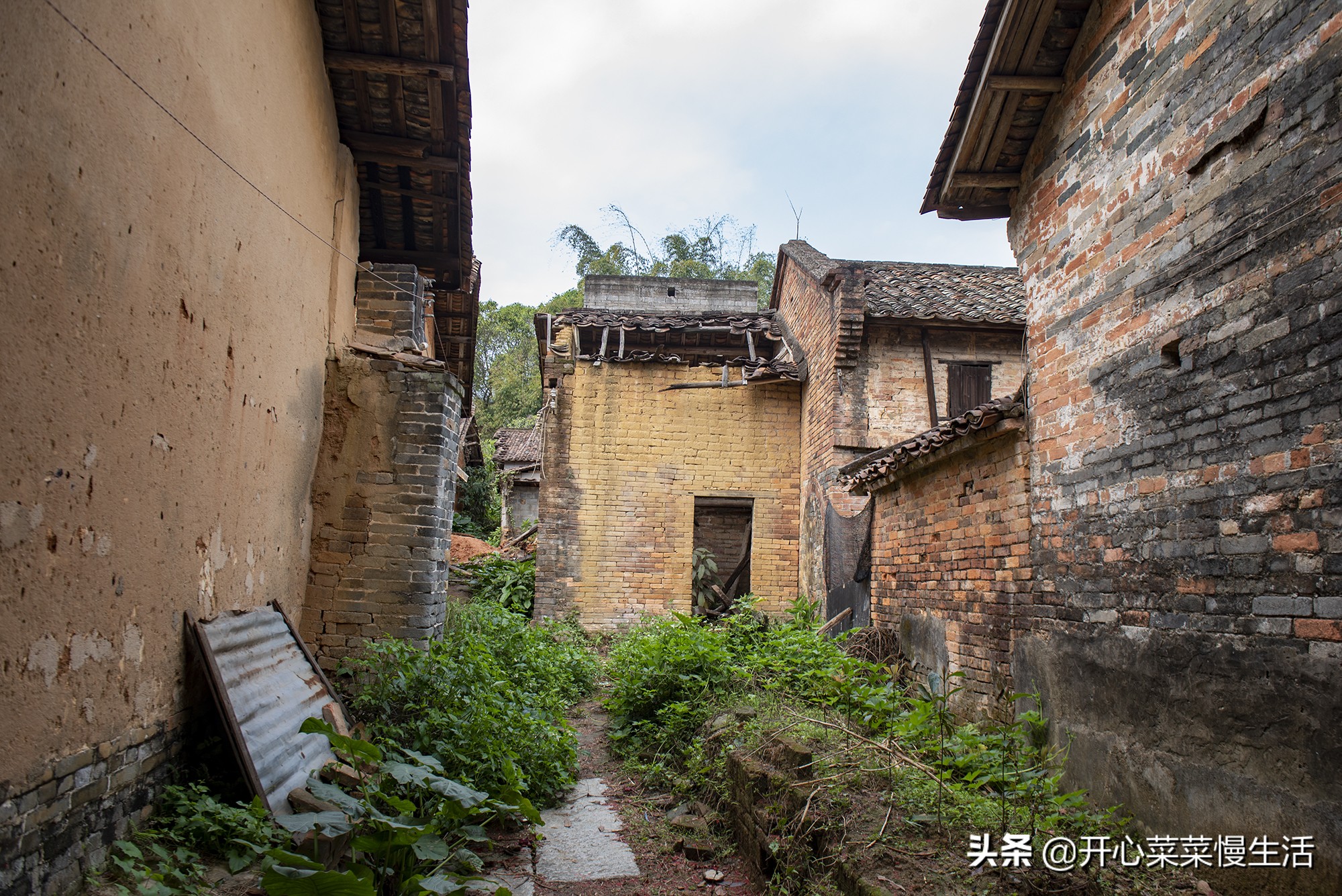 广州这个近900年历史古村要变了,广州古村落现状