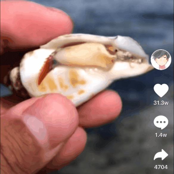 全球旅行攻略干货,全球旅行不为人知的秘密