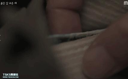 大尺度韩剧，一刷八集