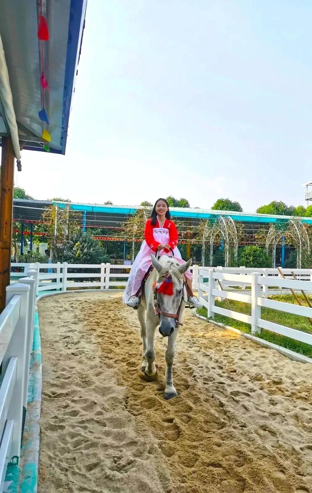 南沙葵园花海景区,广州南沙万顷葵园最佳旅游时间
