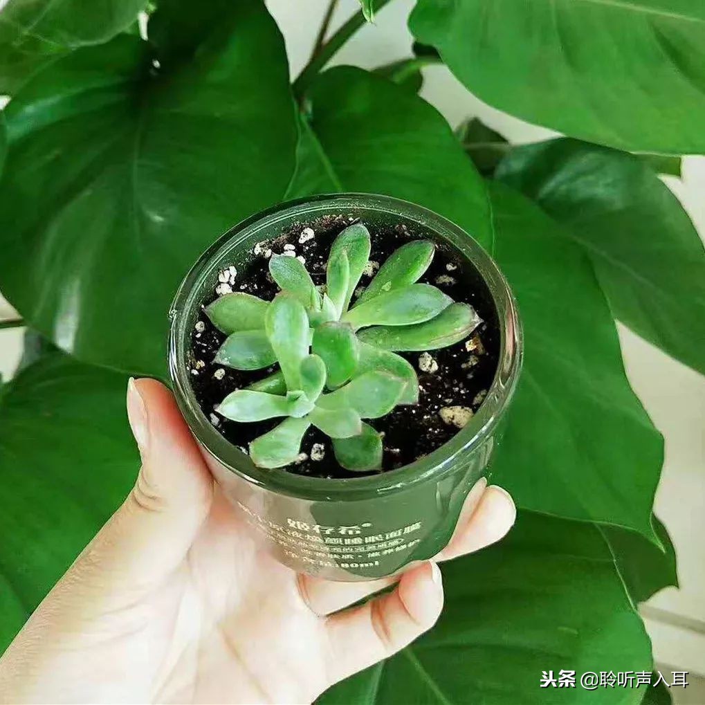 保护护肤品,保护护肤