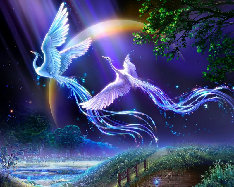 美美的壁纸图片,漂亮唯美图片壁纸