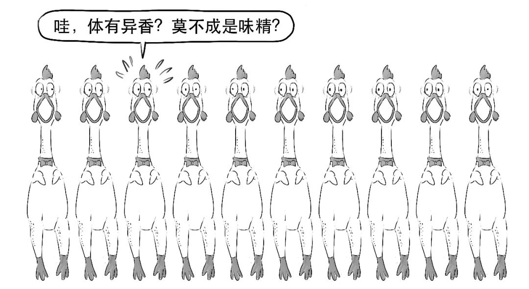 etf是什么概念,etf对应的是什么