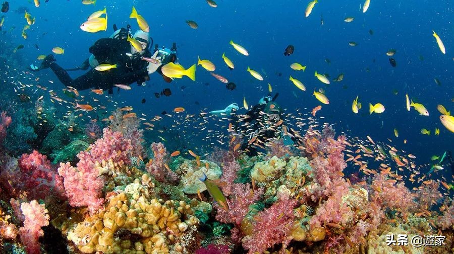 泰国哪些海岛值得去旅游,泰国岛屿排名前十海岛