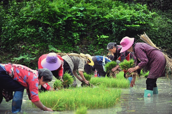 秀山电商赋能乡村振兴新路,秀山农村电商助力脱贫增收
