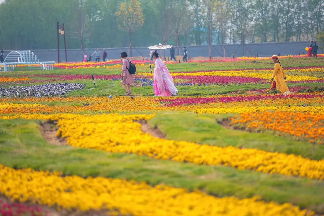 五一假期潍坊赏花踏青地推荐！这8个小众的绝美之地，一定要去走一走啊...