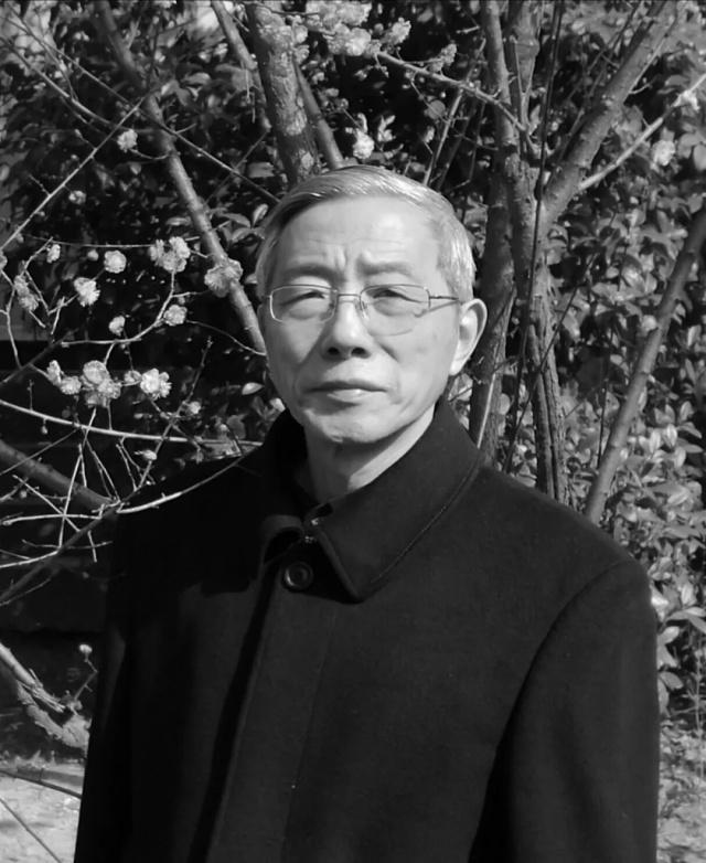 五子是什么人物,五子是谁