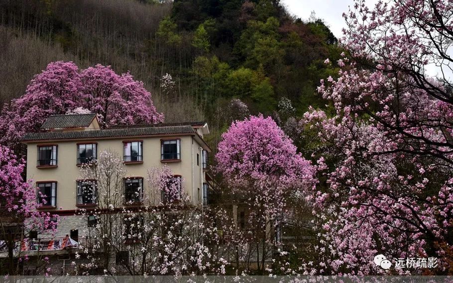 药王谷里觅旧迹（原图文）