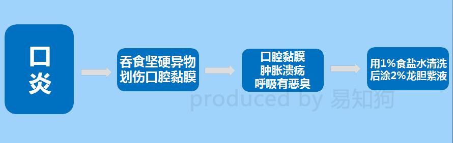 居家狗狗生活训练,日常护理狗狗皮肤不瘙痒