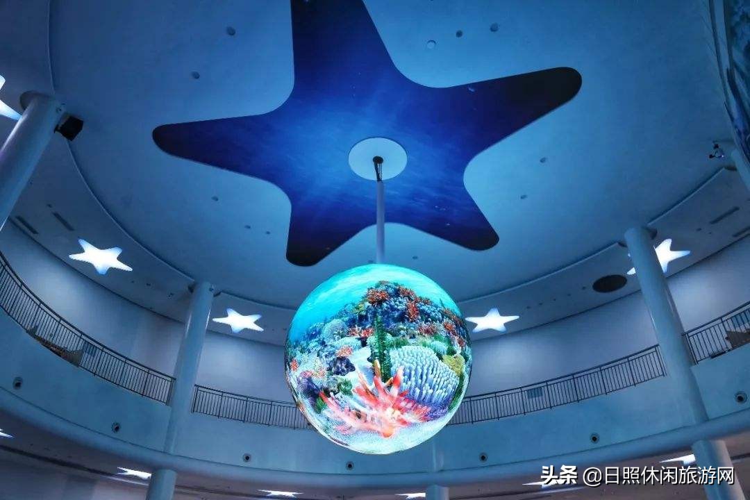 日照绿茶价格表,日照文旅