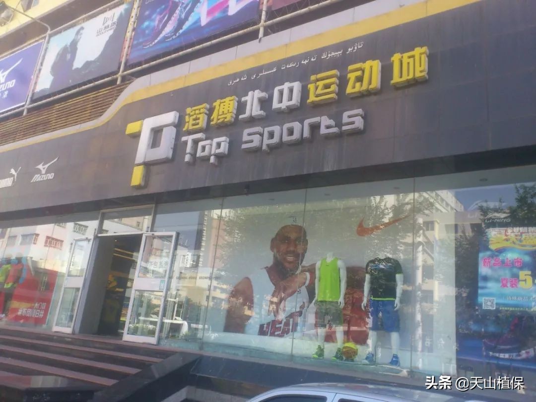 迪丽热巴古力娜扎见过面吗,迪丽热巴跟古力娜扎合影