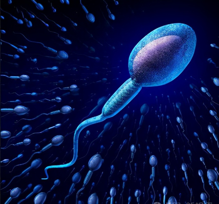 除了卵生胎生还有什么方式,除了胎生还有什么方法繁殖