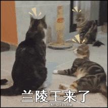 王者荣耀兰陵王全局思路打法,王者荣耀兰陵王思路细节打法教学