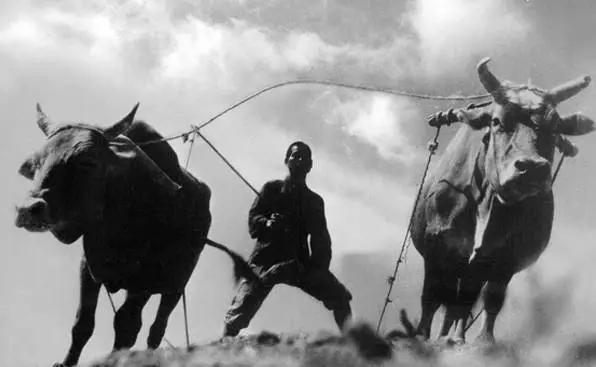 休闲农业模式怎么选好点,休闲农业的100种盈利模式