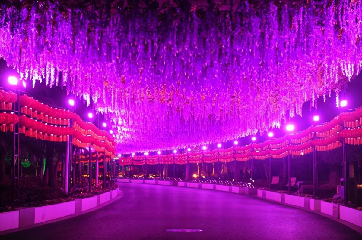 郑州元宵节看花灯的好去处,郑州市赏花灯的地方