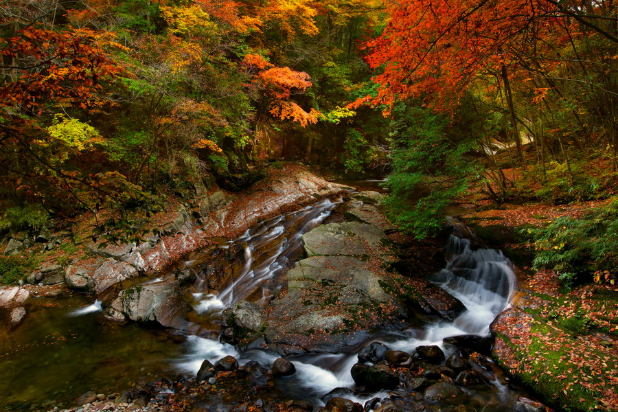 巴中光雾山红叶的最佳时间,红叶谷打卡地