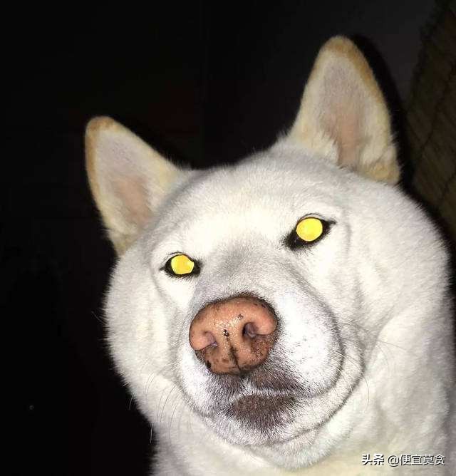 如何在网上兼职打字员,带你深入了解打字员兼职套路