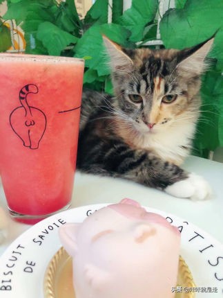 北京后海好吃推荐,北京后海必吃十大地方