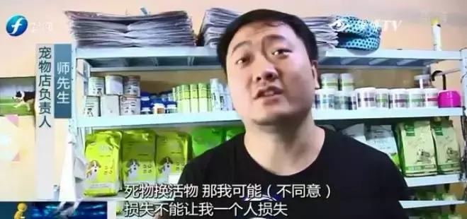 宠物狗买回来过几天病死怎么维权,厦门宠物店