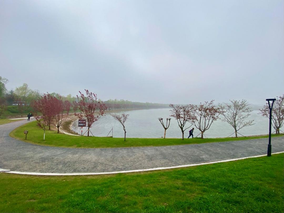 南京的小众景点非常适合一个人去,南京充满森林的公园