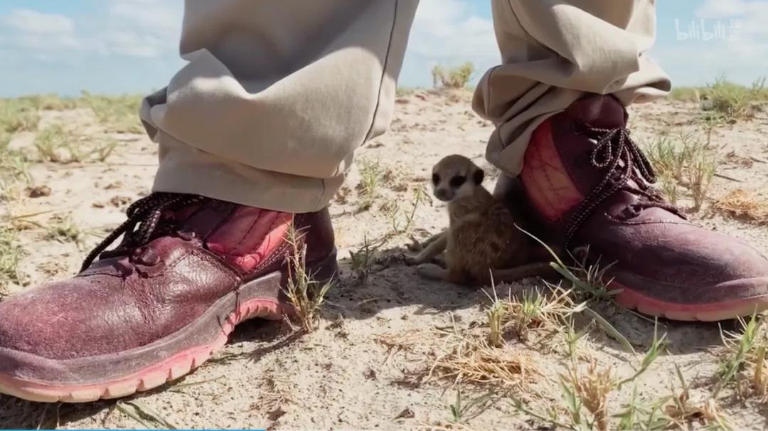 豆瓣评分9.5以上的国产电影有哪些,十部顶级神片推荐