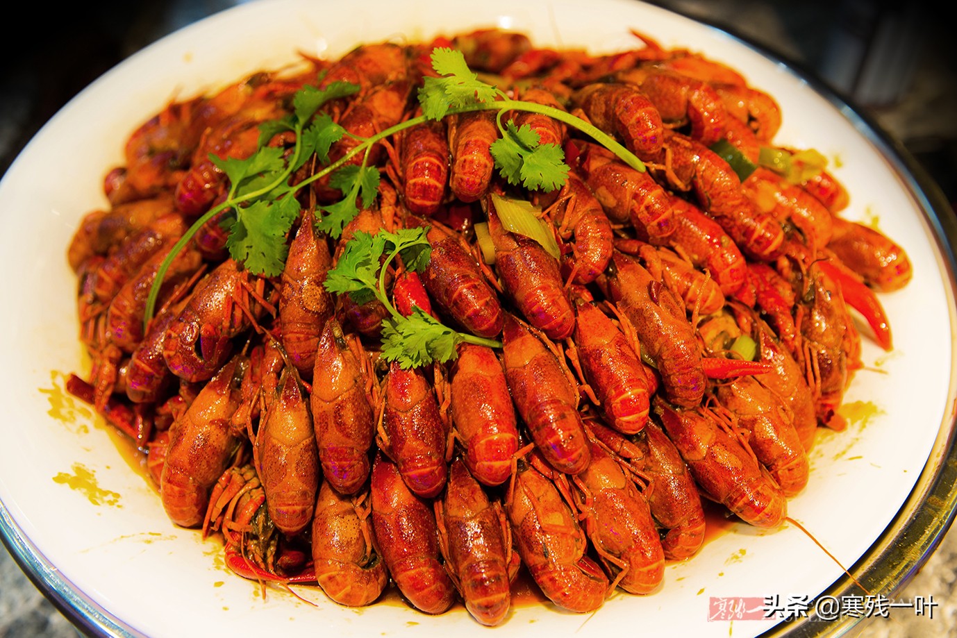 杭州蓝鳍金枪鱼自助,杭州金枪鱼自助