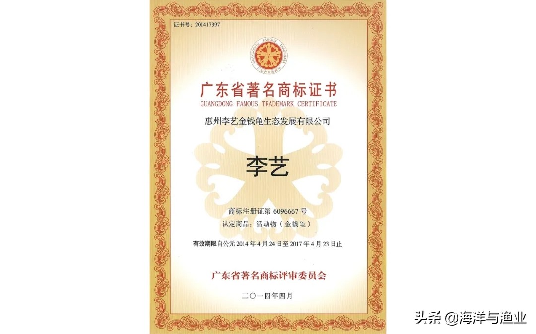 杨村金钱龟养殖基地,惠州李艺金钱龟生态园生意好吗