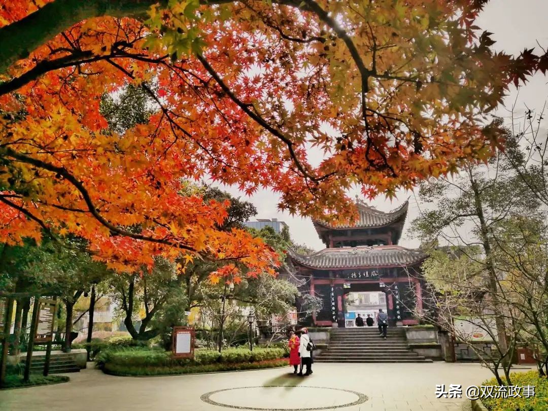 双流美丽公园城市,成都双流湿地公园美景