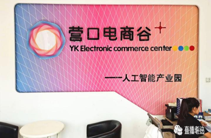 营口老边网红小镇,中国社交电商第一村网红节开幕