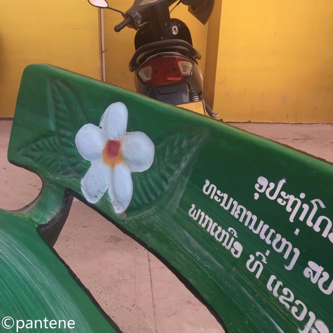 3月旅行最佳选择,3月旅行地点推荐亲子