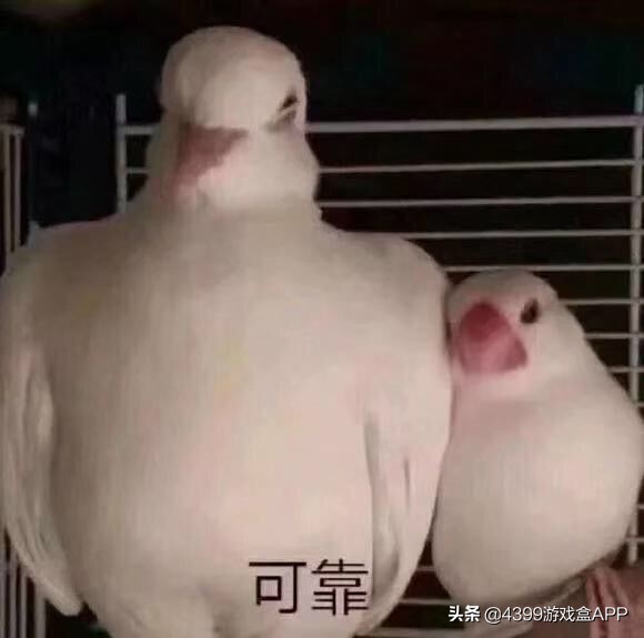 9月进口版号过审！腾讯网易在列，从MMORPG到休闲桌游这里都有