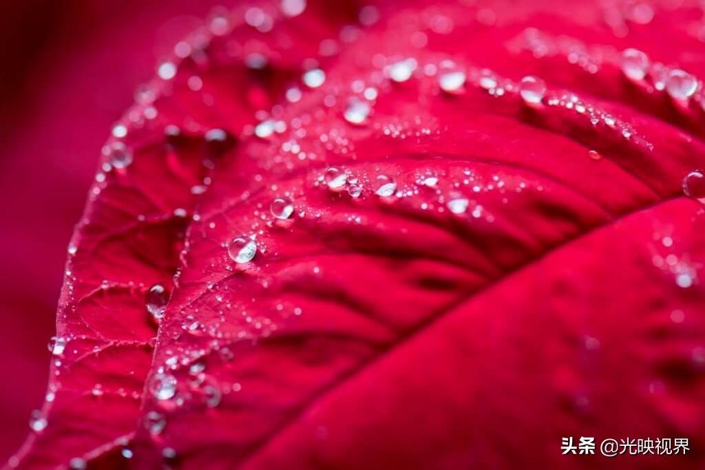 有关雨的美图,雨总能带给人直观的感受