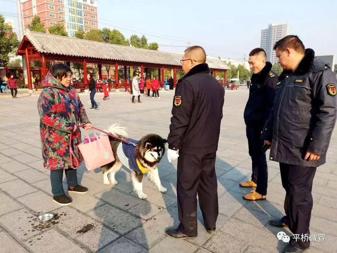 动真格整治方案,动真格整改落实