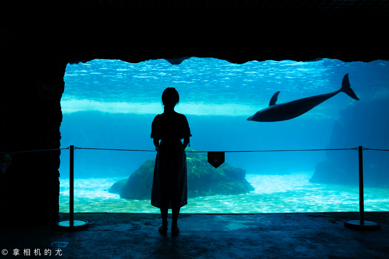 珠海横琴长隆海洋王国游玩全攻略,珠海长隆海洋王国跟香港海洋公园